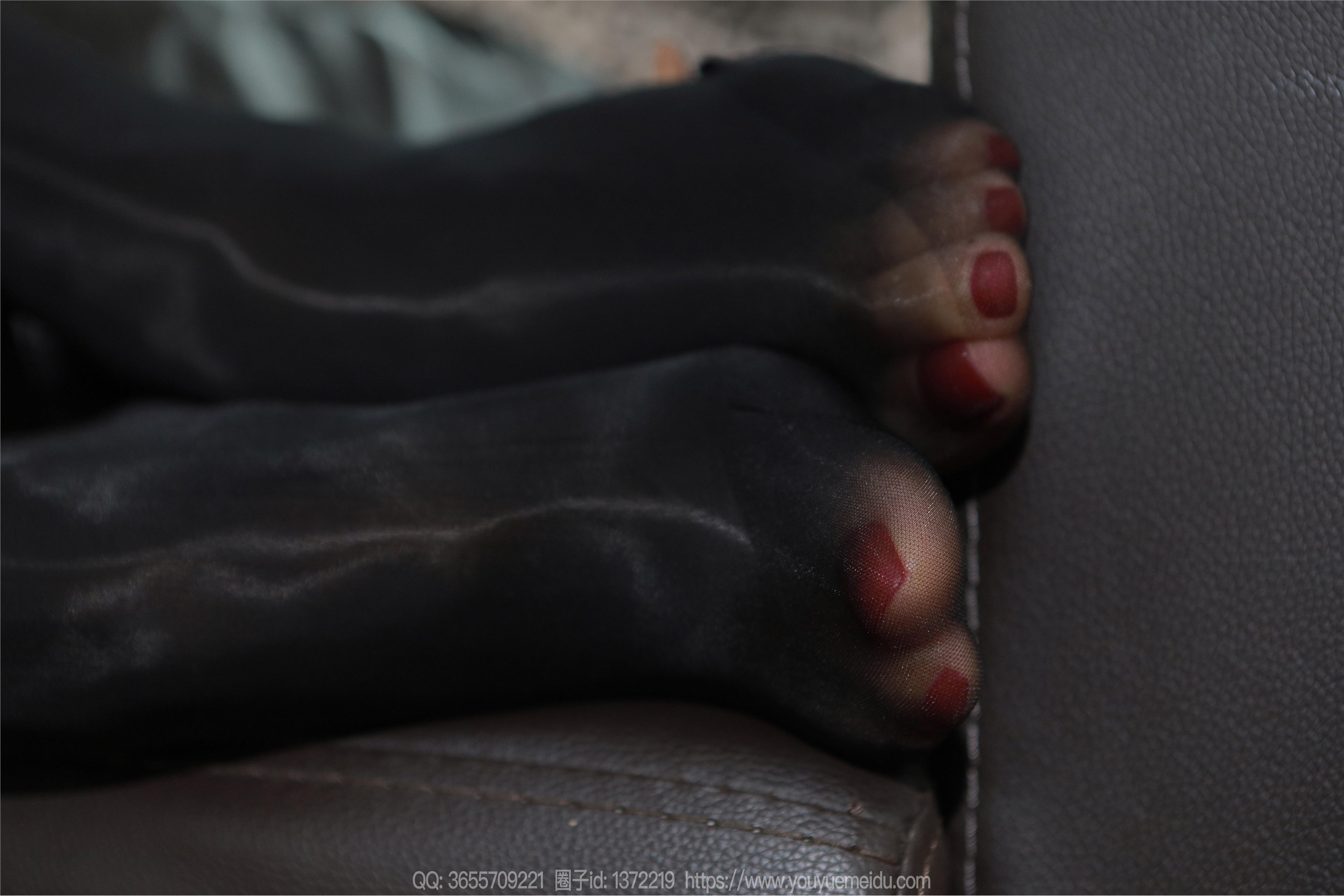 IESS异思趣向  2023.10.29 丝享家 1571 兔兔《油亮豹纹》